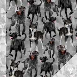 Doglove (harmaa) joustocollege