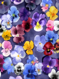 KESÄmekko (Orvokki violetti trikoo)