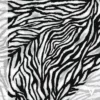 Wild (harmaa) digitrikoo